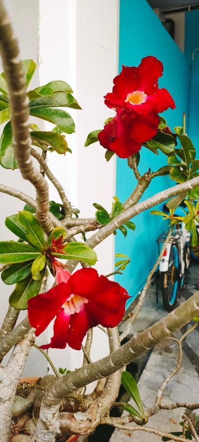 Hanaa Homestay Meru איפוה מראה חיצוני תמונה